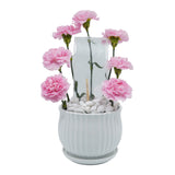 Pink Carnations Money Vase Gift Hamper  سلة هدايا مزهرية نقود القرنفل الوردي