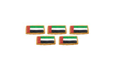 Emirati Women's Day Flag Cookies - Pack of 5 |  كعكات علم يوم المرأة الإماراتية - عبوة من 5 قطع