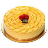 Mango Cheese Cake تشيز كيك المانجو