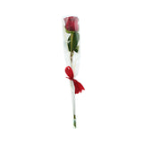 Valentine's Single Rose Red White  وردة عيد الحب المنفردة باللون الأحمر والأبيض